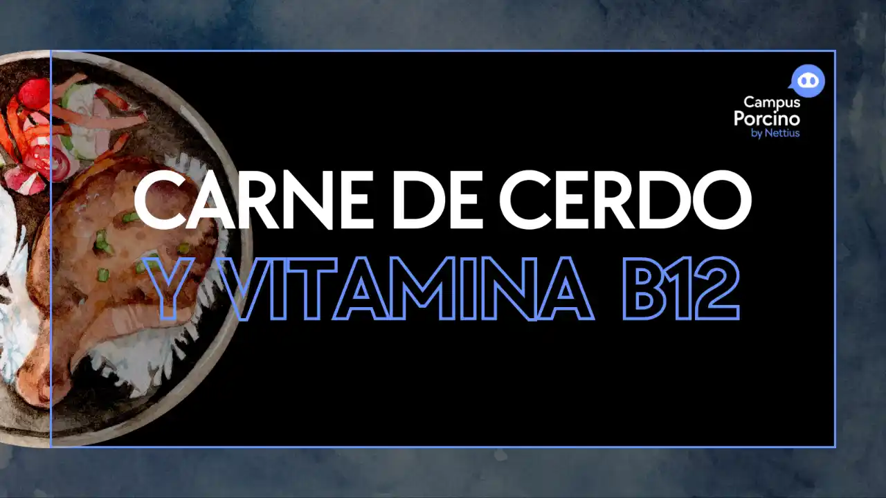 Carne de cerdo como fuente de vitamina B12.