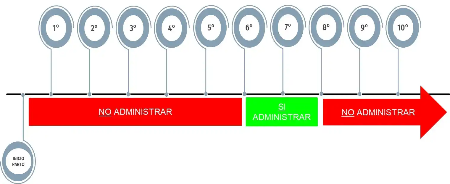 Instancias de administración de oxitocina según el orden de nacimiento de los lechones.