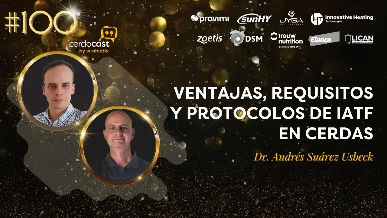 Ventajas, requisitos y protocolos de IATF en cerdas - Dr. Andrés Suárez Usbeck.