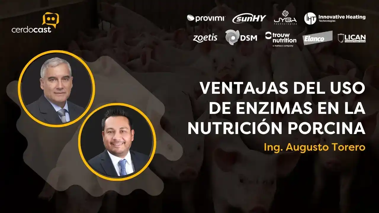 Ventajas del uso de enzimas en la nutrición porcina - Ing. Augusto Torero.