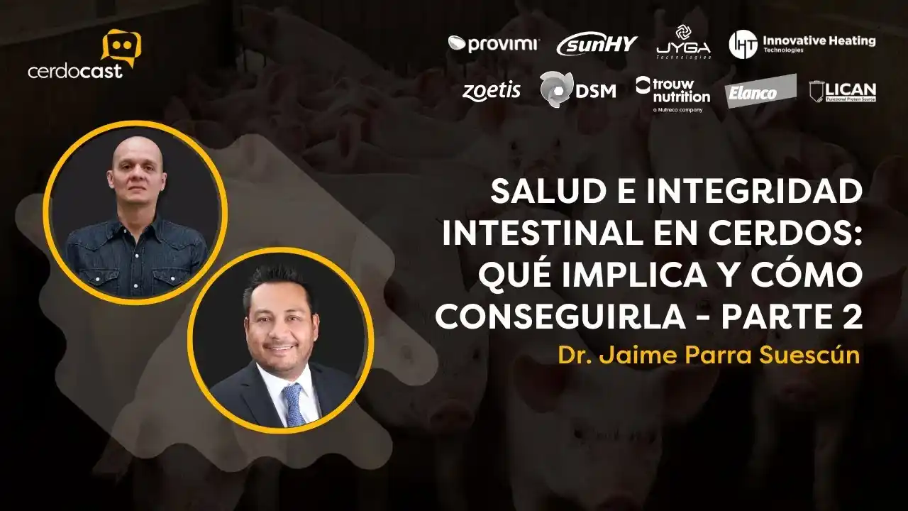 Salud e integridad intestinal en cerdos - Parte 2.