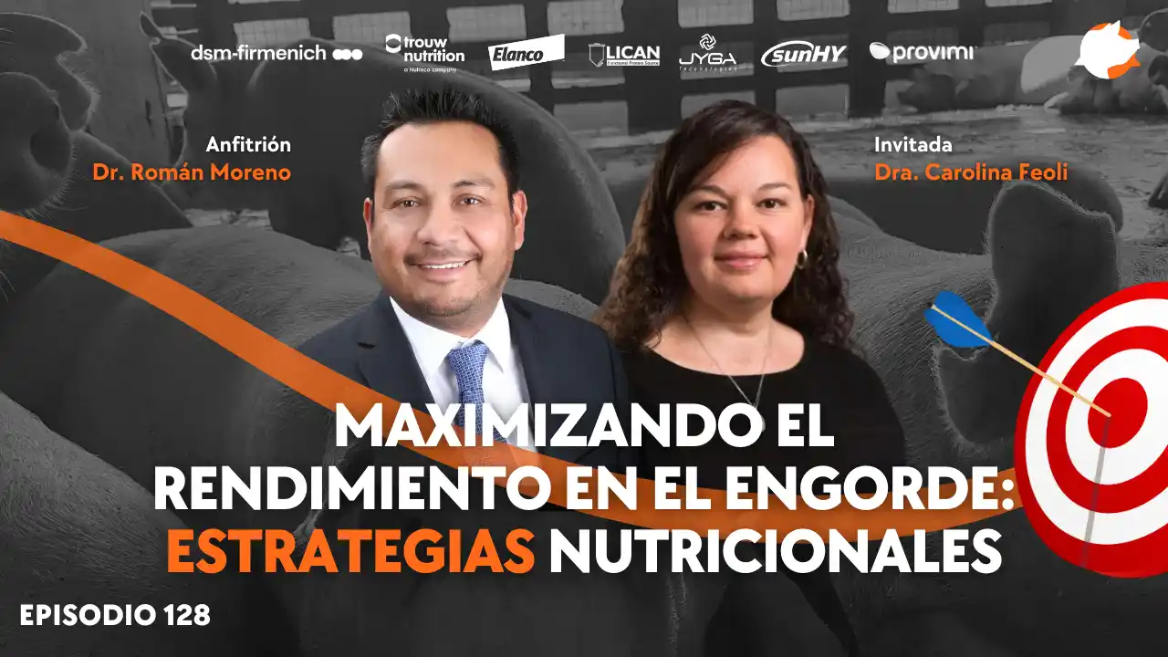 Maximizando el rendimiento en el engorde con estrategias nutricionales - Dra. Carolina Feoli.