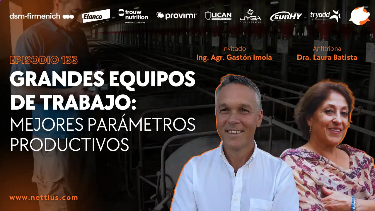 Grandes equipos de trabajo para mejorar parámetros productivos en porcicultura - Ing. Agr. Gastón Imola.