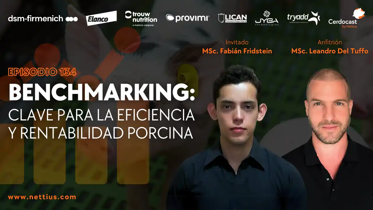 Benchmarking para mejorar la eficiencia y rentabilidad en la porcicultura - Fabián Fridstein.