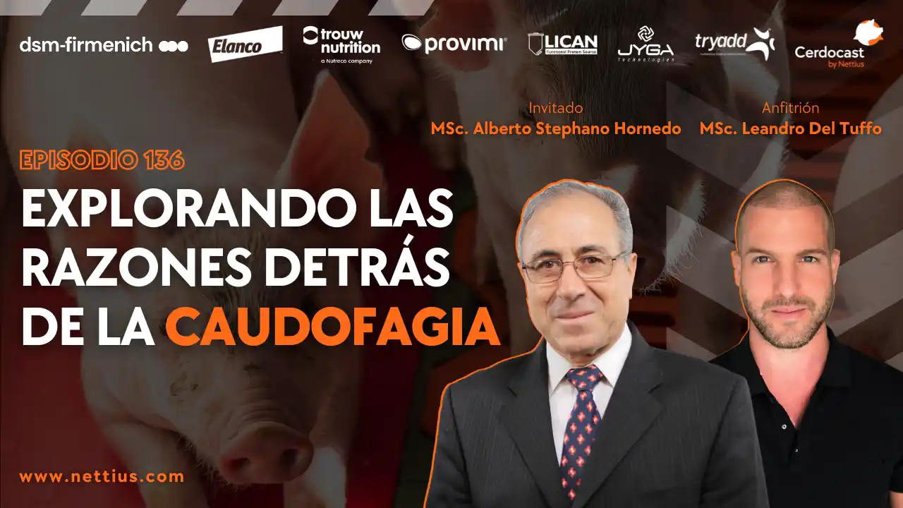Causas y factores asociados a la caudofagia en cerdos - MSc. Alberto Stephano Hornedo.