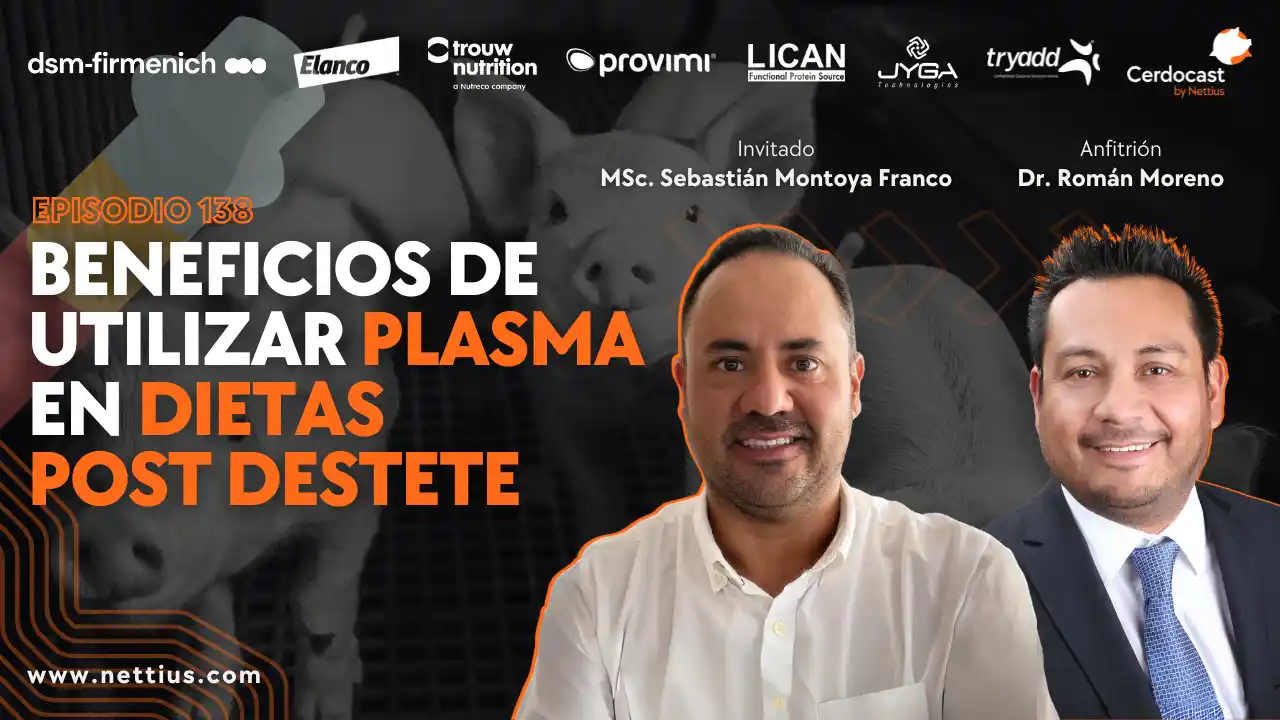 Uso de plasma en dietas post destete de lechones - Sebastián Montoya Franco.