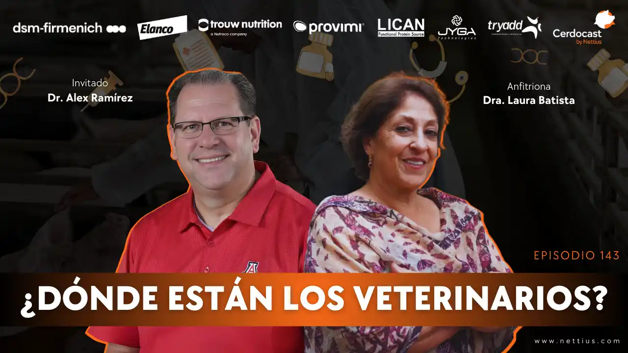 Escasez de veterinarios a campo en la producción porcina - Dr. Alex Ramírez.
