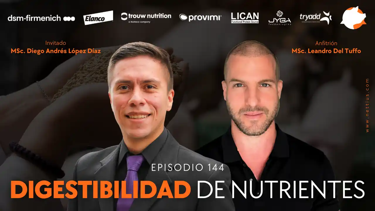 Digestibilidad de nutrientes en la nutrición porcina - MSc. Diego Andrés López Díaz.