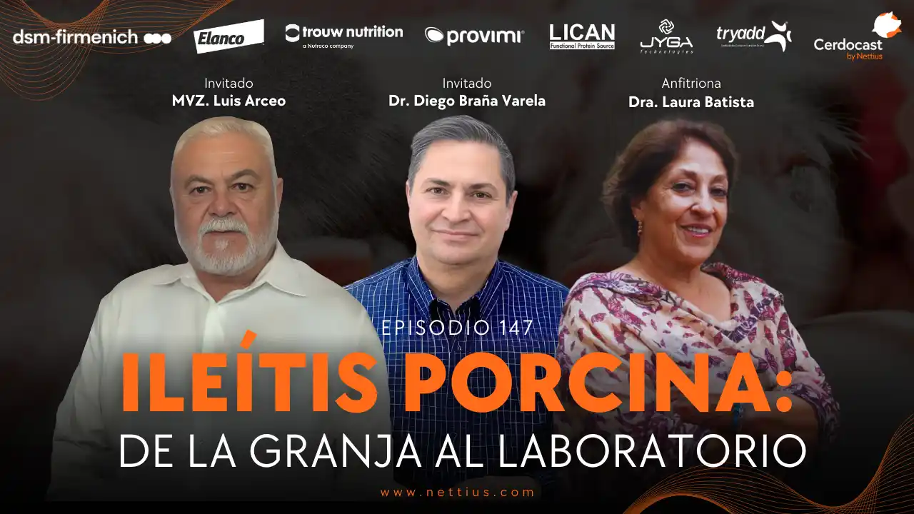 Ileítis porcina: diagnóstico de la granja al laboratorio - MVZ. Luis Arceo y Dr. Diego Braña.
