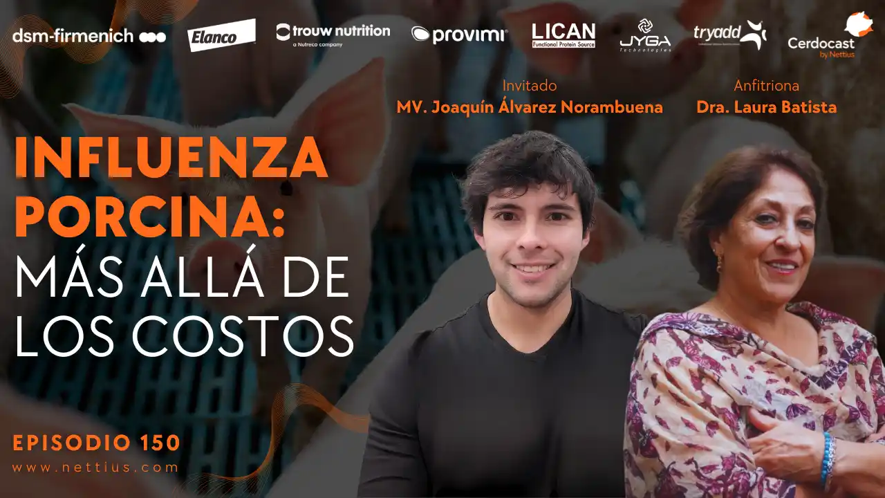 Influenza porcina y su impacto más allá de los costos productivos - MV. Joaquín Álvarez Norambuena.