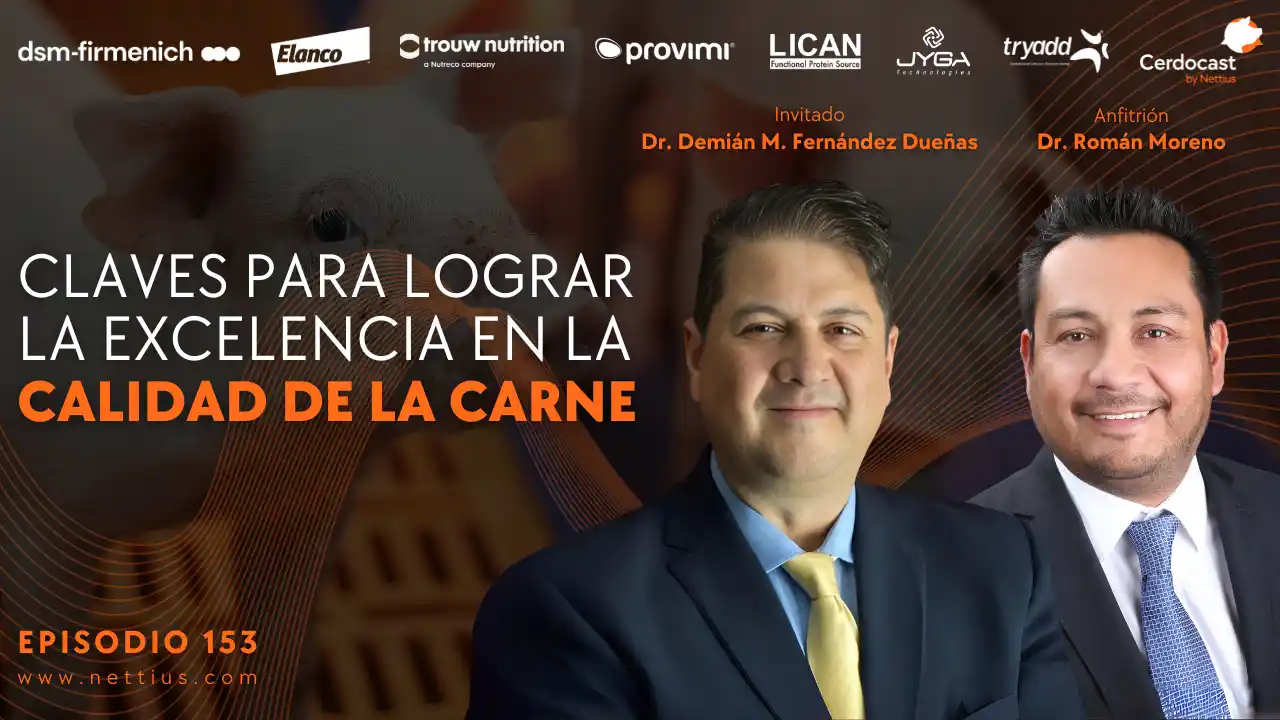 Claves para lograr la excelencia en la calidad de la carne porcina - Dr. Demián M. Fernández Dueñas.