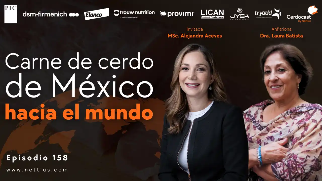 Carne de cerdo de México hacia mercados internacionales - MSc. Alejandra Aceves.