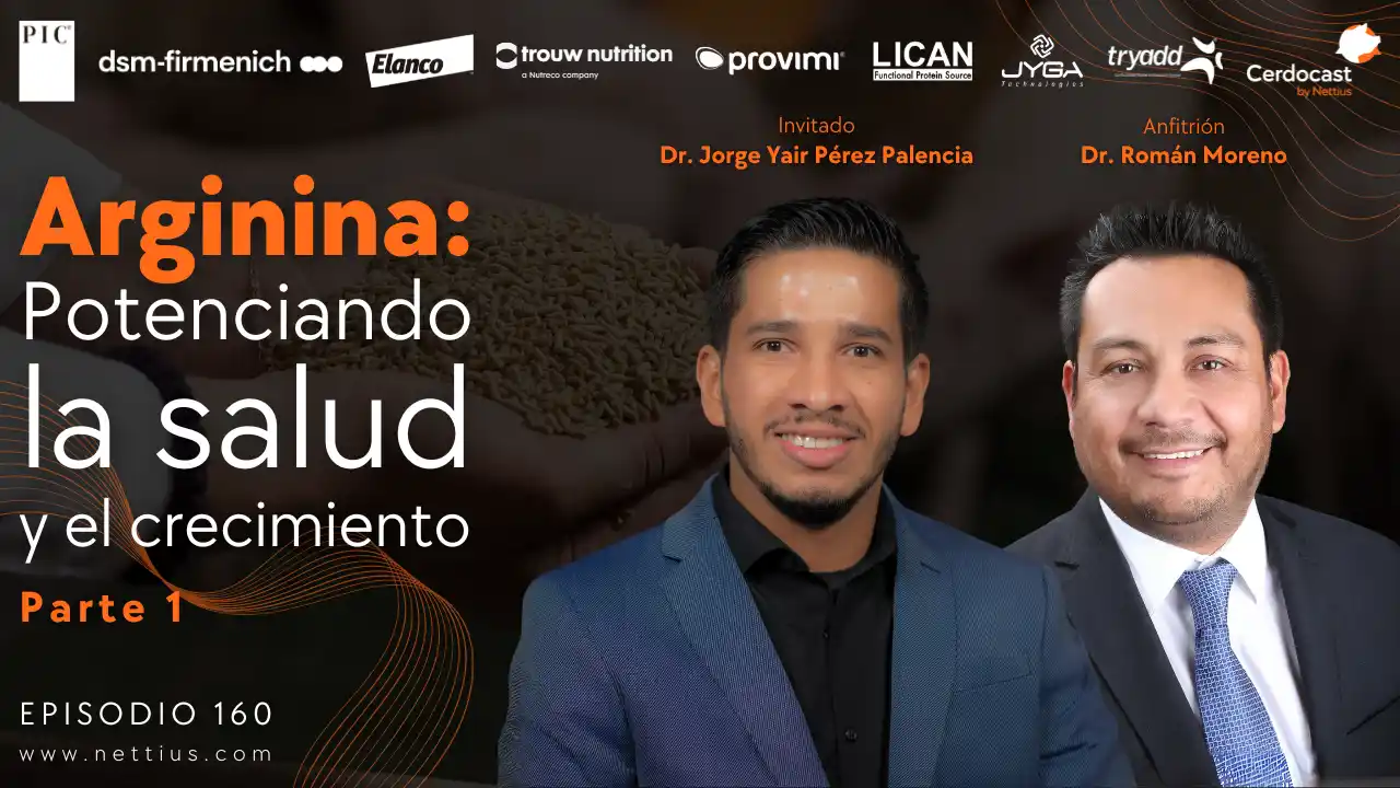 Arginina para potenciar la salud y crecimiento en cerdos - Parte 1 - Dr. Jorge Yair Pérez Palencia.
