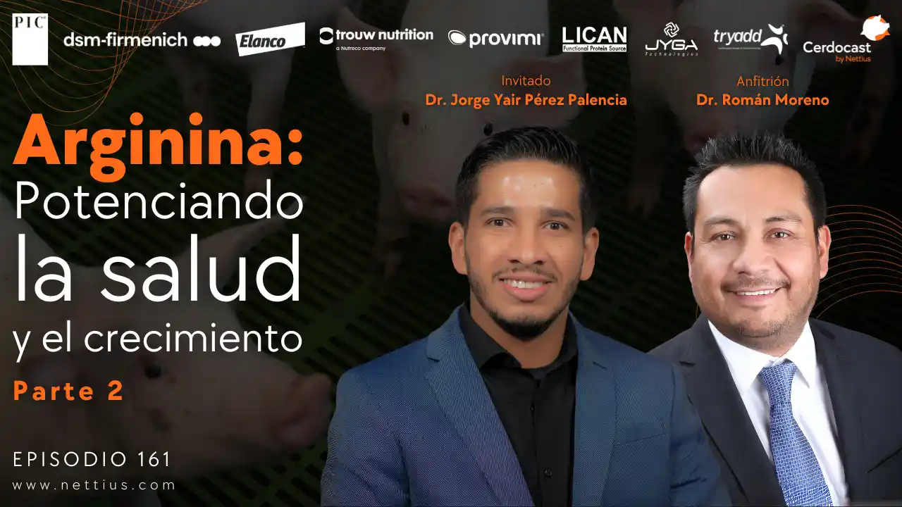 Arginina para potenciar la salud y crecimiento en cerdos - Parte 2 - Dr. Jorge Yair Pérez Palencia.