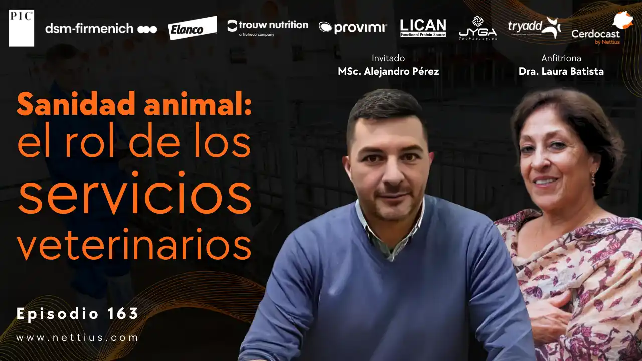 Rol de los servicios veterinarios en la sanidad animal porcina - MSc. Alejandro Pérez.