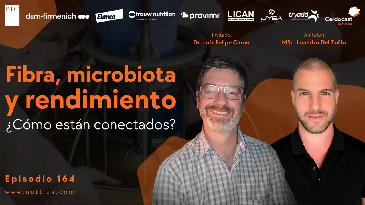 Conexión entre fibra, microbiota y rendimiento en cerdos - Dr. Luiz Felipe Caron.