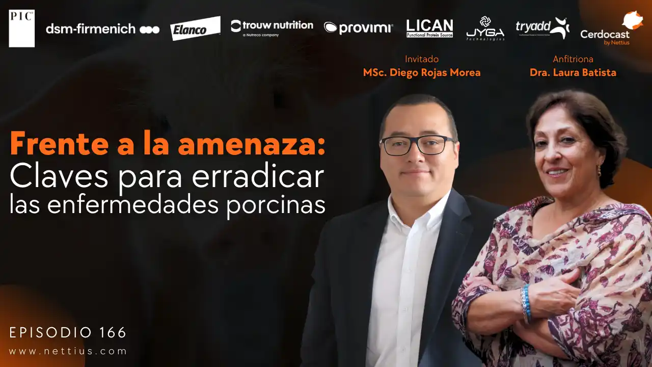 Estrategias para erradicar enfermedades porcinas - MSc. Diego Rojas Morea.