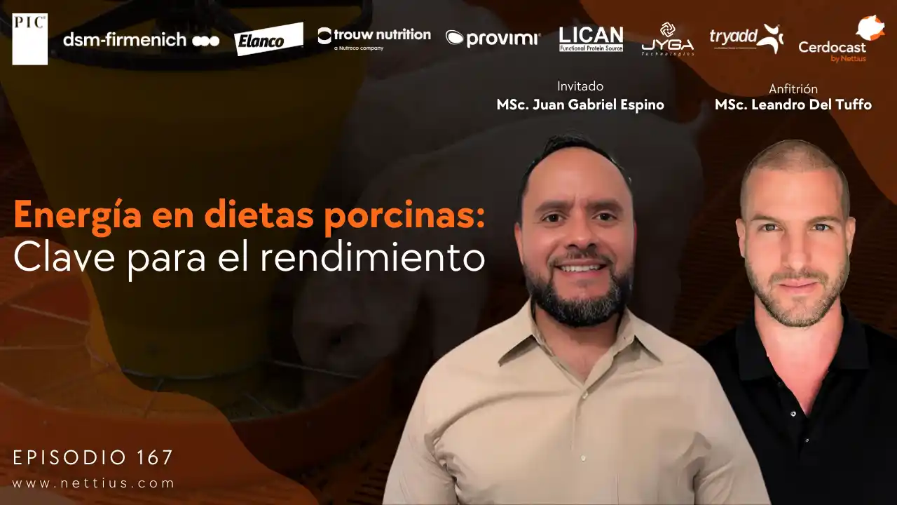 Energía en dietas porcinas y su impacto en el rendimiento - MSc. Juan Gabriel Espino.