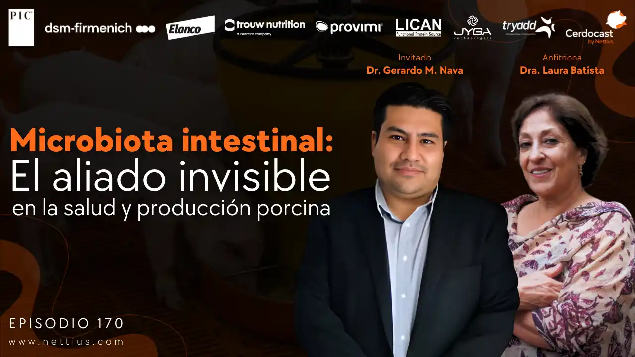 Microbiota intestinal como aliado en la salud y producción porcina - Dr. Gerardo M. Nava.