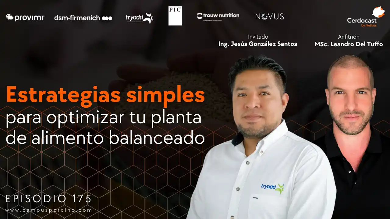 Optimización de plantas de alimento balanceado para porcinos - Ing. Jesús González Santos.
