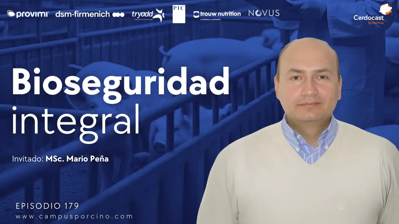 Enfoque nacional para la erradicación de enfermedades en porcicultura - M.Sc. Mario Peña.