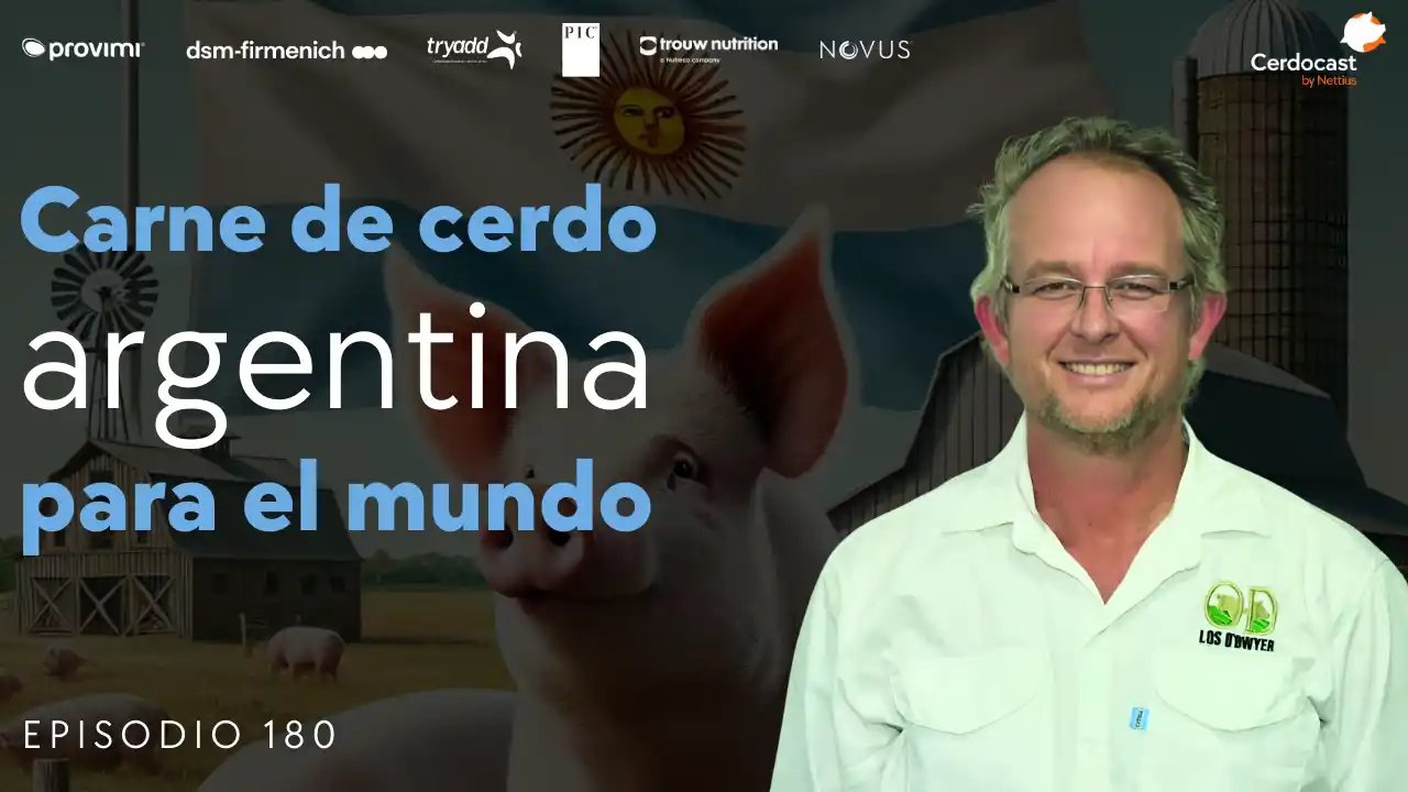 De empresa familiar a mercados de exportación en la porcicultura - Ian O'Dwyer.