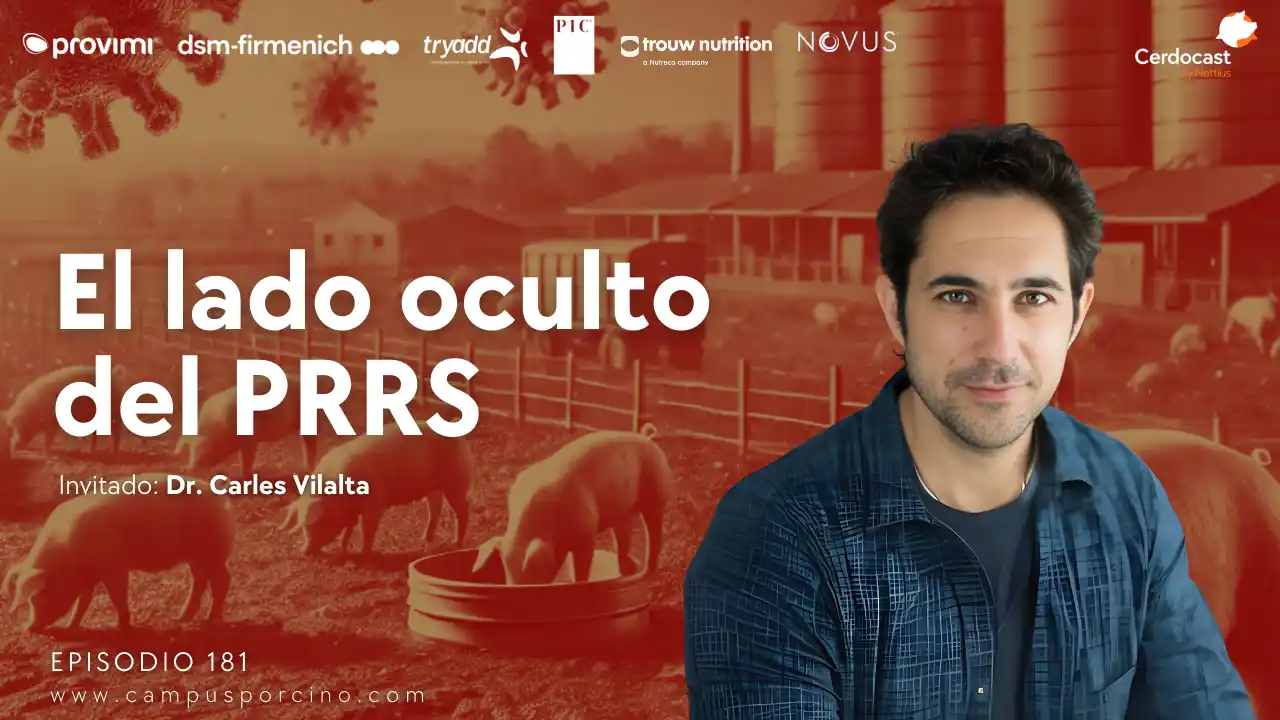 Purines como vector en brotes de PRRS - Dr. Carles Vilalta.