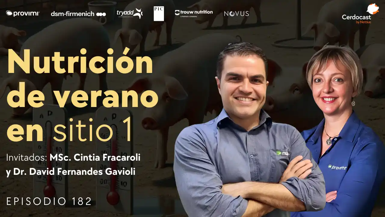 Estrategias nutricionales en tiempos críticos en porcicultura - MSc. Cintia Fracaroli y Dr. David Fernandes Gavioli.