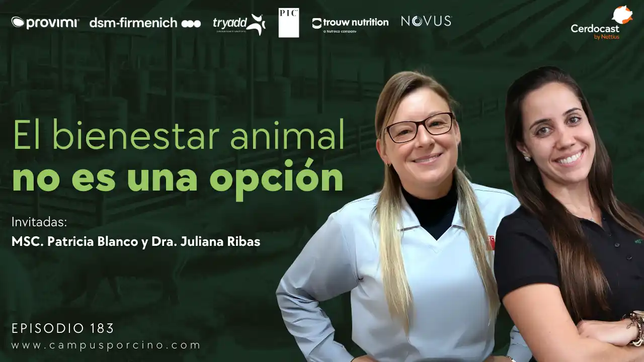 Bienestar animal en la práctica - MSc. Patricia Blanco y Dra. Juliana Ribas.