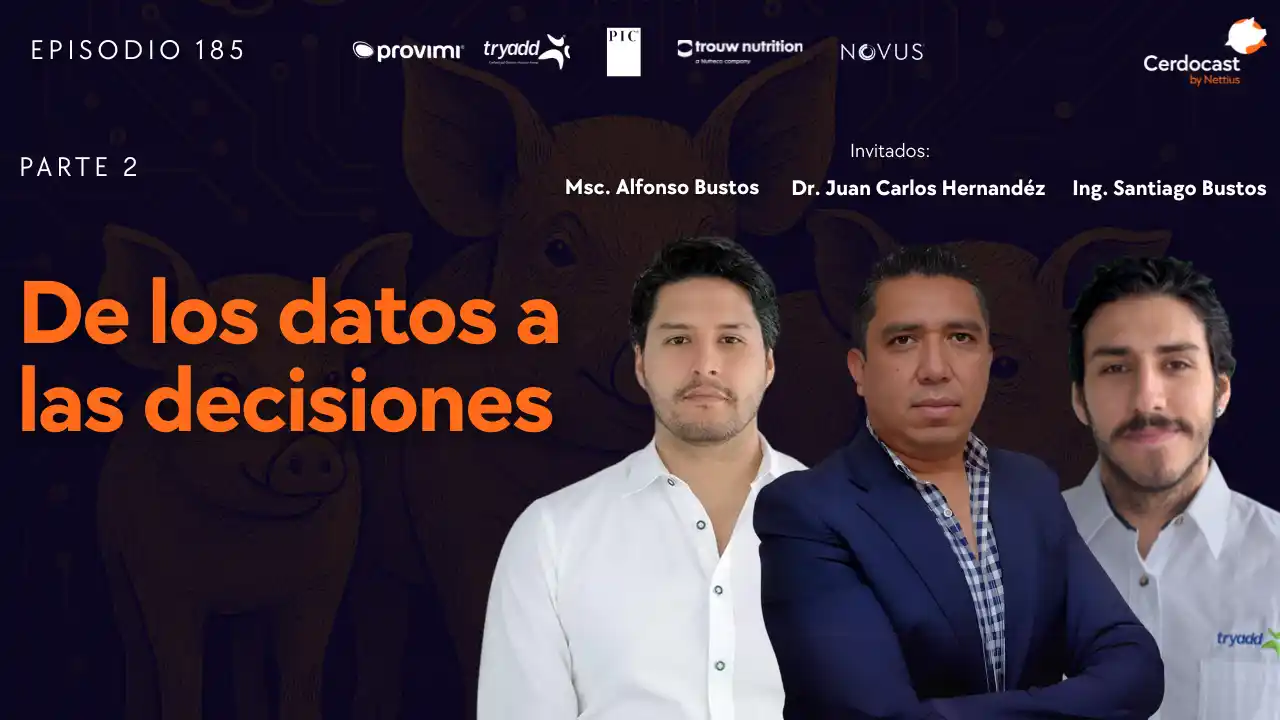 IA aplicada en la industria porcina (Parte 2) - Juan Carlos Hernández, Alfonso Bustos y Santiago Bustos.