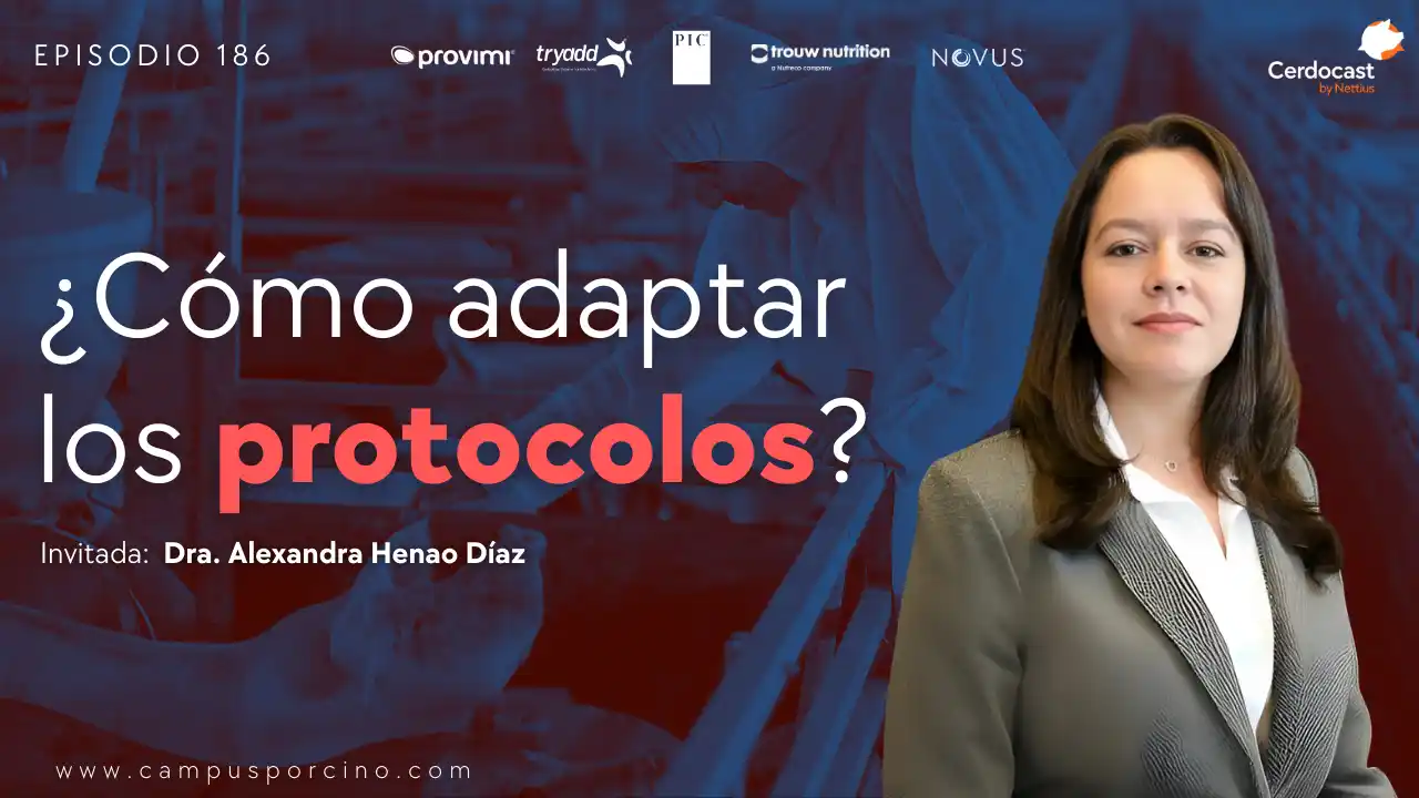 Bioseguridad en mega granjas porcinas - Dra. Alexandra Henao Díaz.