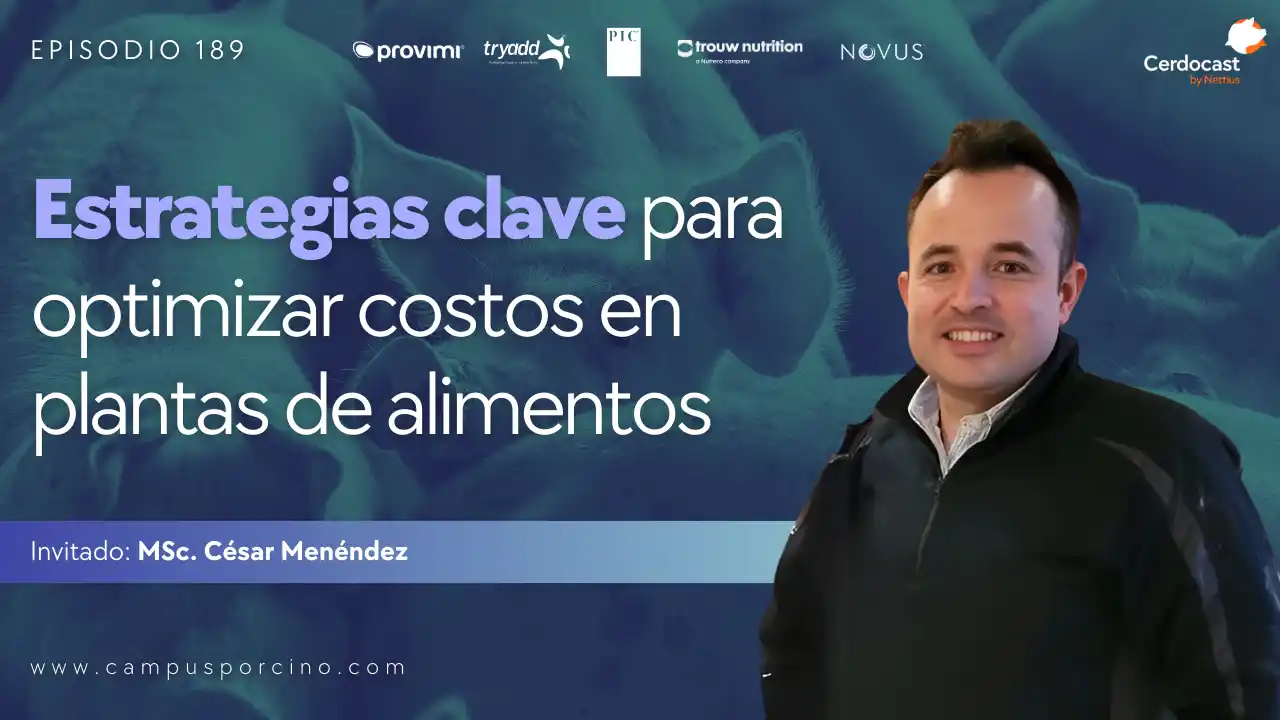 Optimización de costos en plantas de alimentos para porcinos - MSc. César Menéndez.
