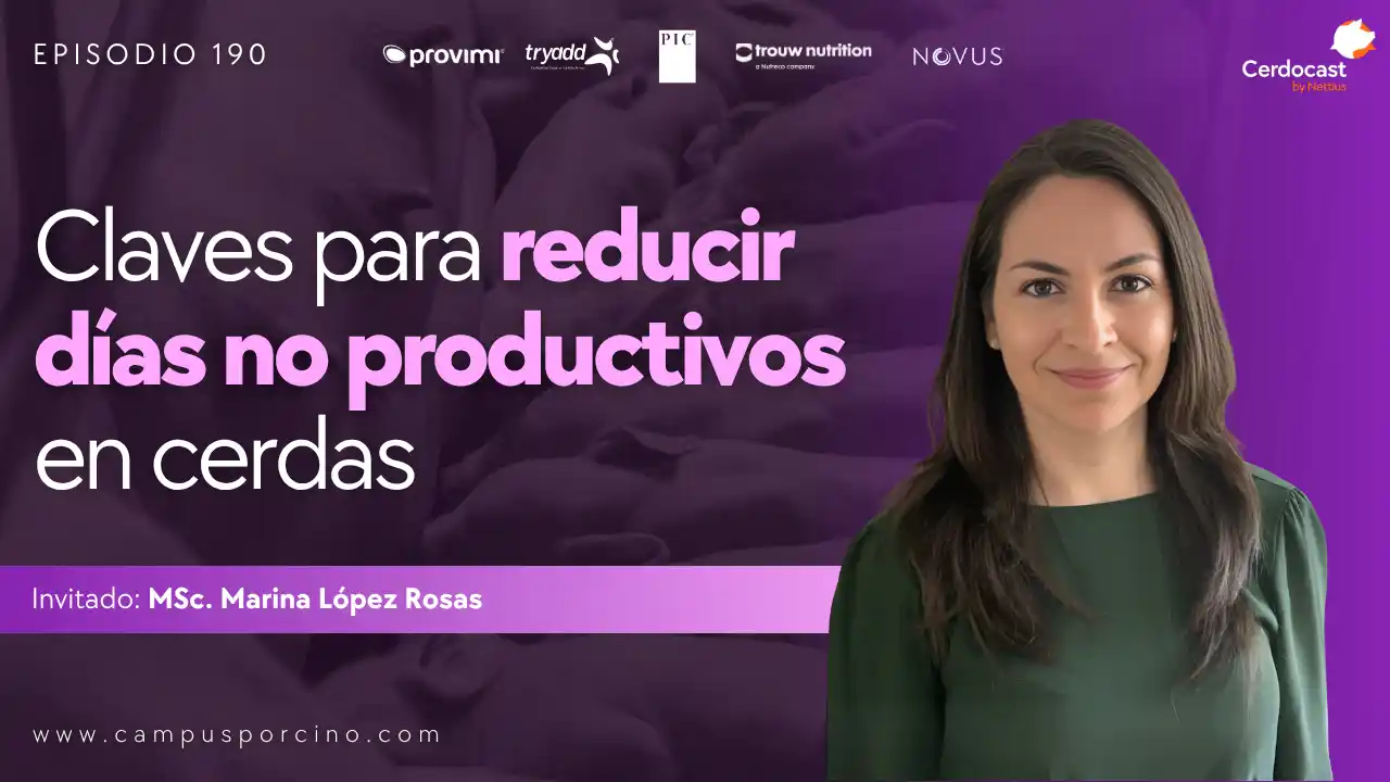 Reducir los días no productivos en cerdas - MSc. Marina López Rosas.