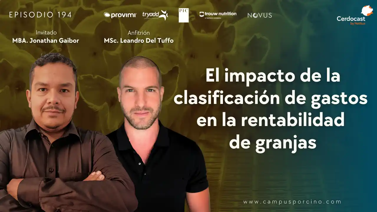 Impacto de la clasificación de gastos en la rentabilidad de granjas porcinas - MBA. Jonathan Gaibor.