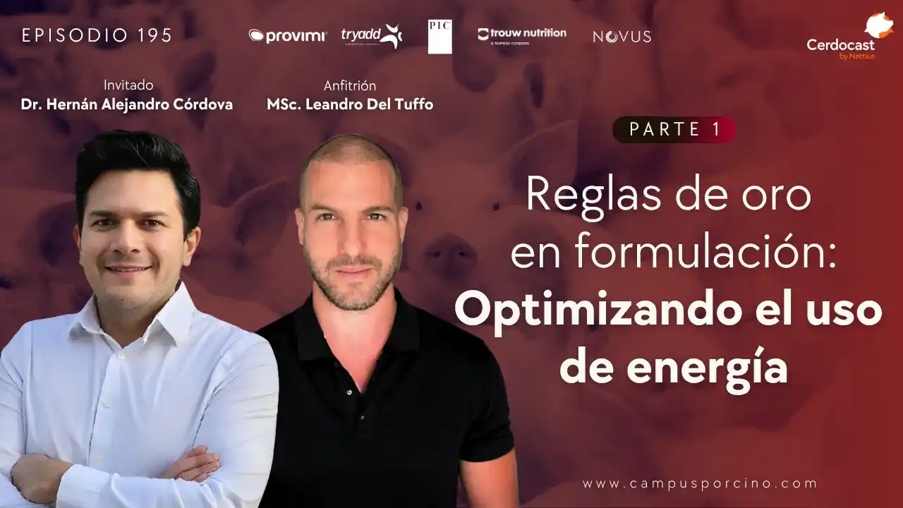 Reglas de oro en formulación para optimizar el uso de energía - Dr. Hernán Alejandro Córdova.