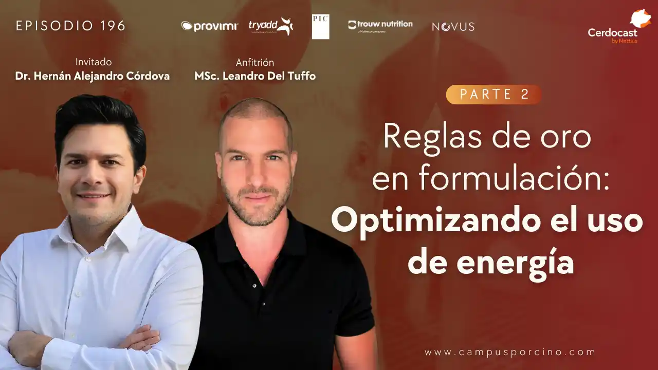 Reglas de oro en formulación para optimizar el uso de energía - Parte 2 - Dr. Hernán Alejandro Córdova.