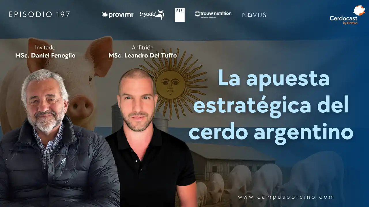 Apuesta estratégica del cerdo argentino - MSc. Daniel Fenoglio.