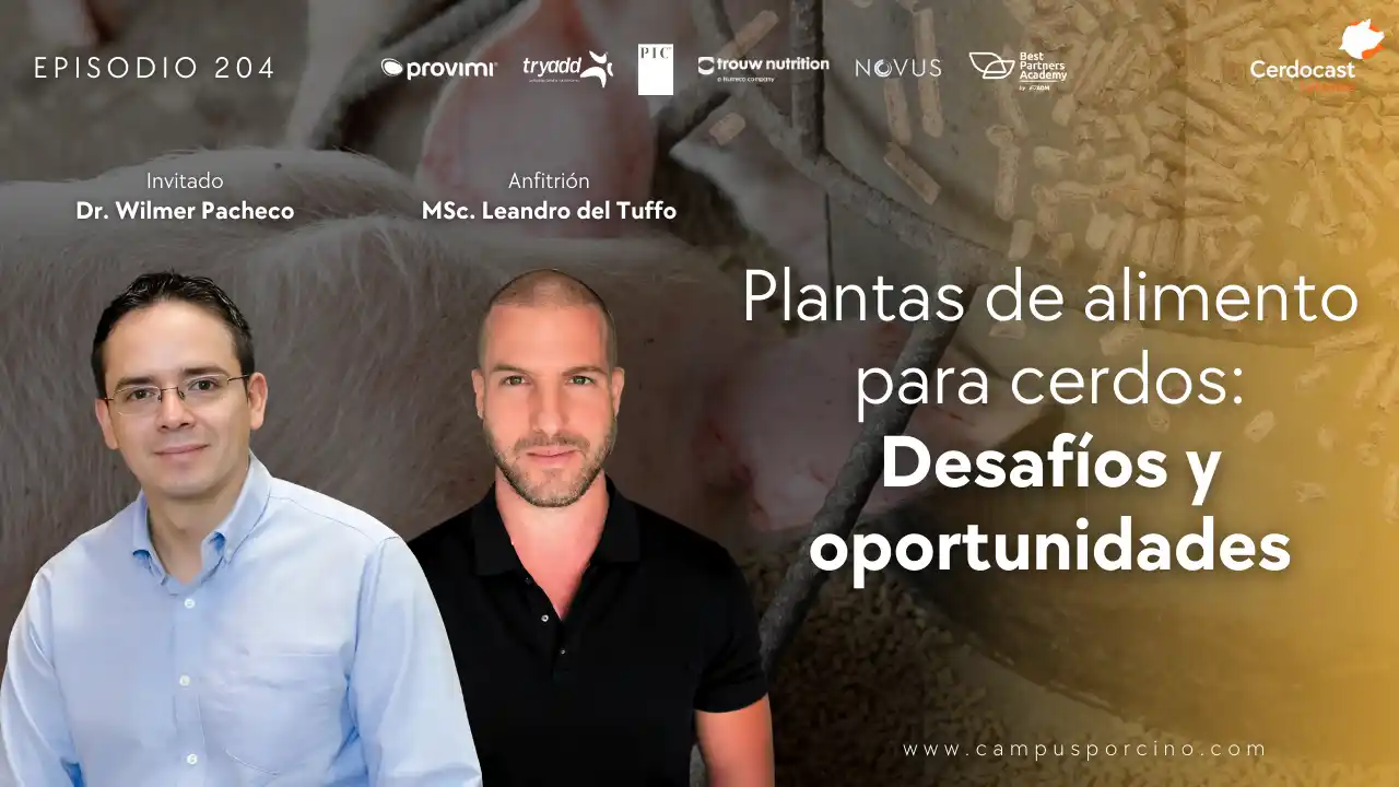 Plantas de alimento para cerdos: Desafíos y oportunidades - Dr. Wilmer Pacheco.