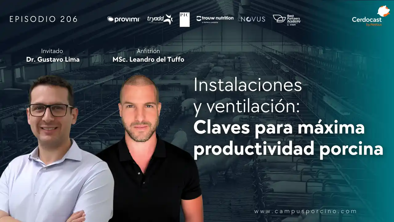 Instalaciones y ventilación para máxima productividad porcina - Dr. Gustavo Lima.