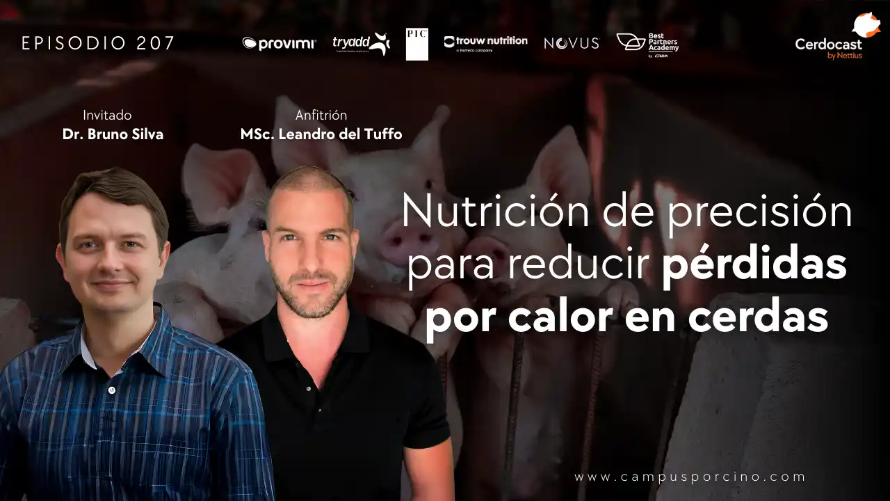 Nutrición de precisión para reducir pérdidas por calor en cerdas - Dr. Bruno Silva.