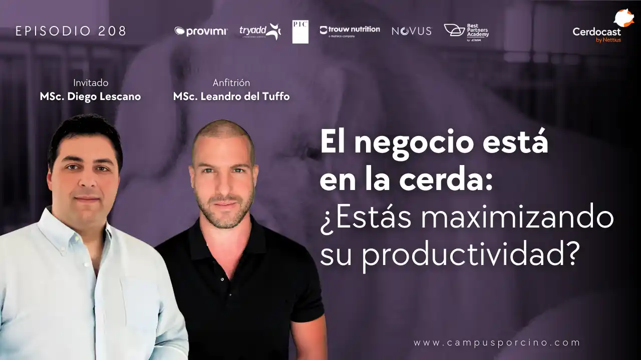 Maximizar la productividad de la cerda - MSc. Diego Lescano.