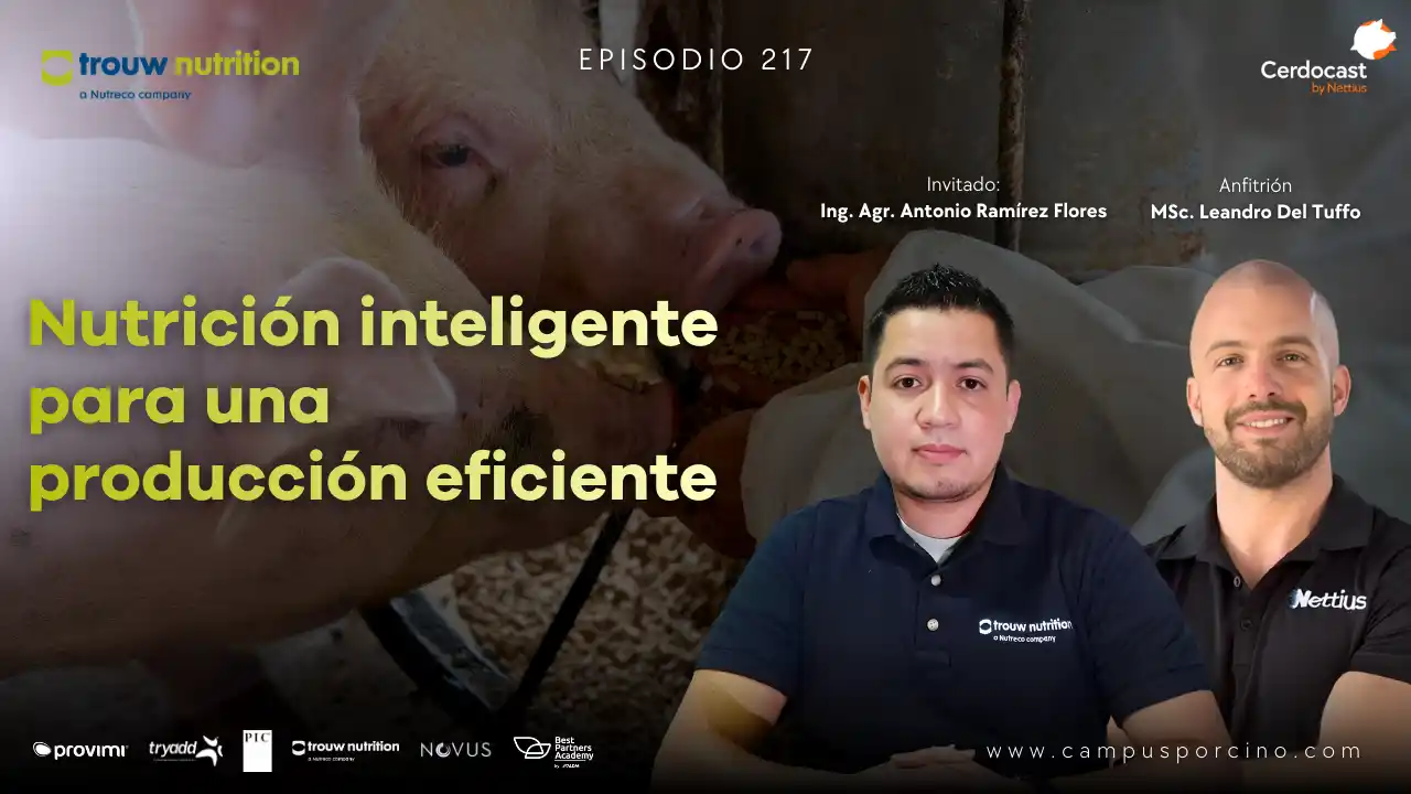 Nutrición inteligente para una producción eficiente en porcicultura - Ing. Agr. Antonio Ramírez Flores.