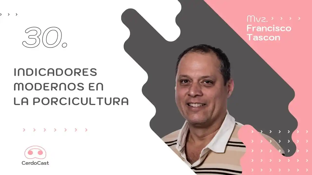 Indicadores modernos para la mejora de la porcicultura - MVz. Francisco Tascon.