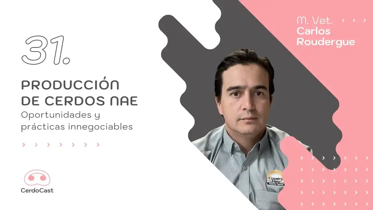 Producción de cerdos NAE: oportunidades y prácticas innegociables.
