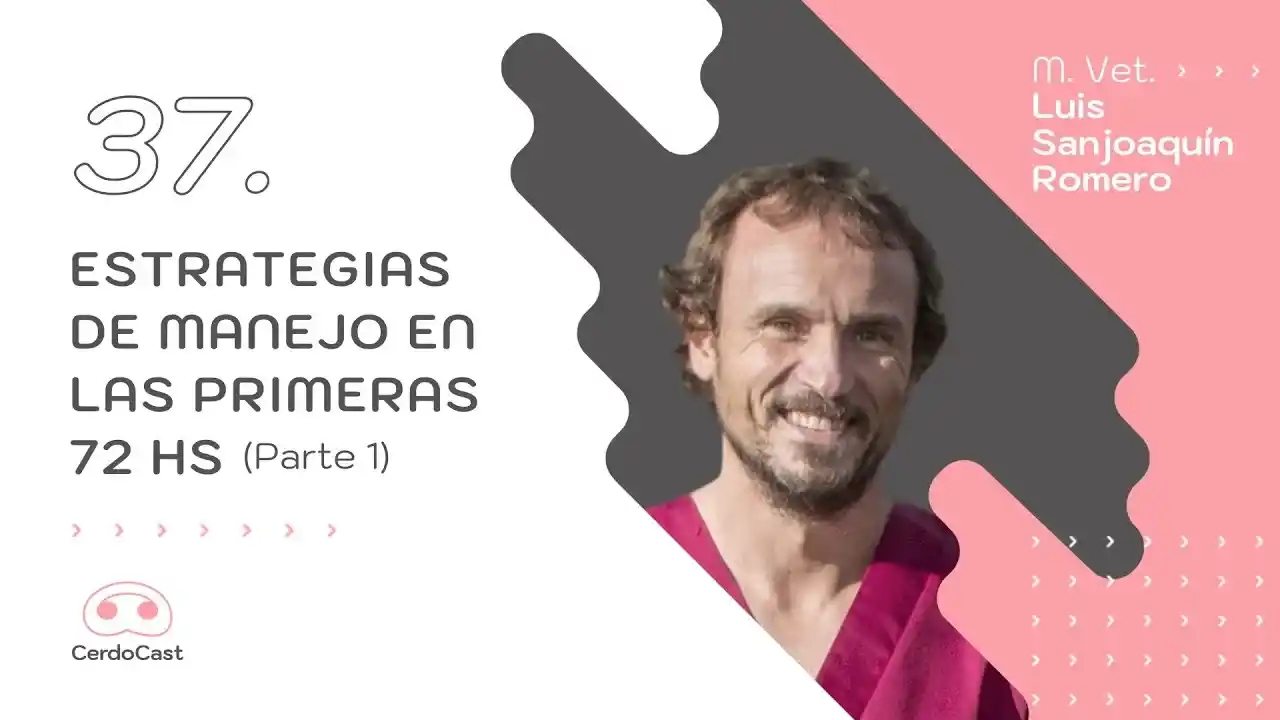 Estrategias de manejo en las primeras 72 horas en producción porcina – Parte 1.