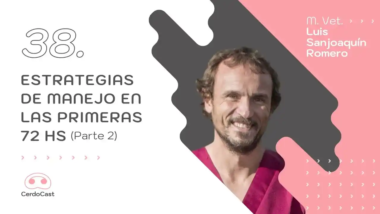 Estrategias de manejo en las primeras 72 horas en producción porcina – Parte 2.