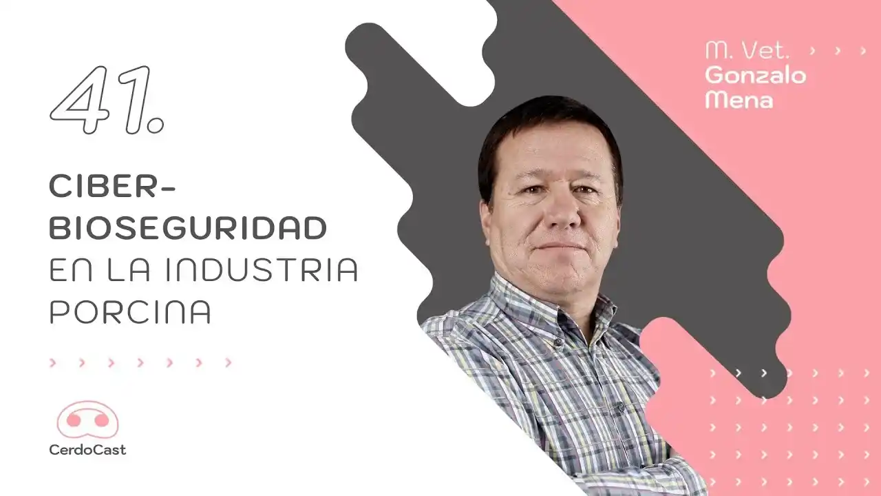 Ciber-bioseguridad en la industria porcina y protección de la información productiva.