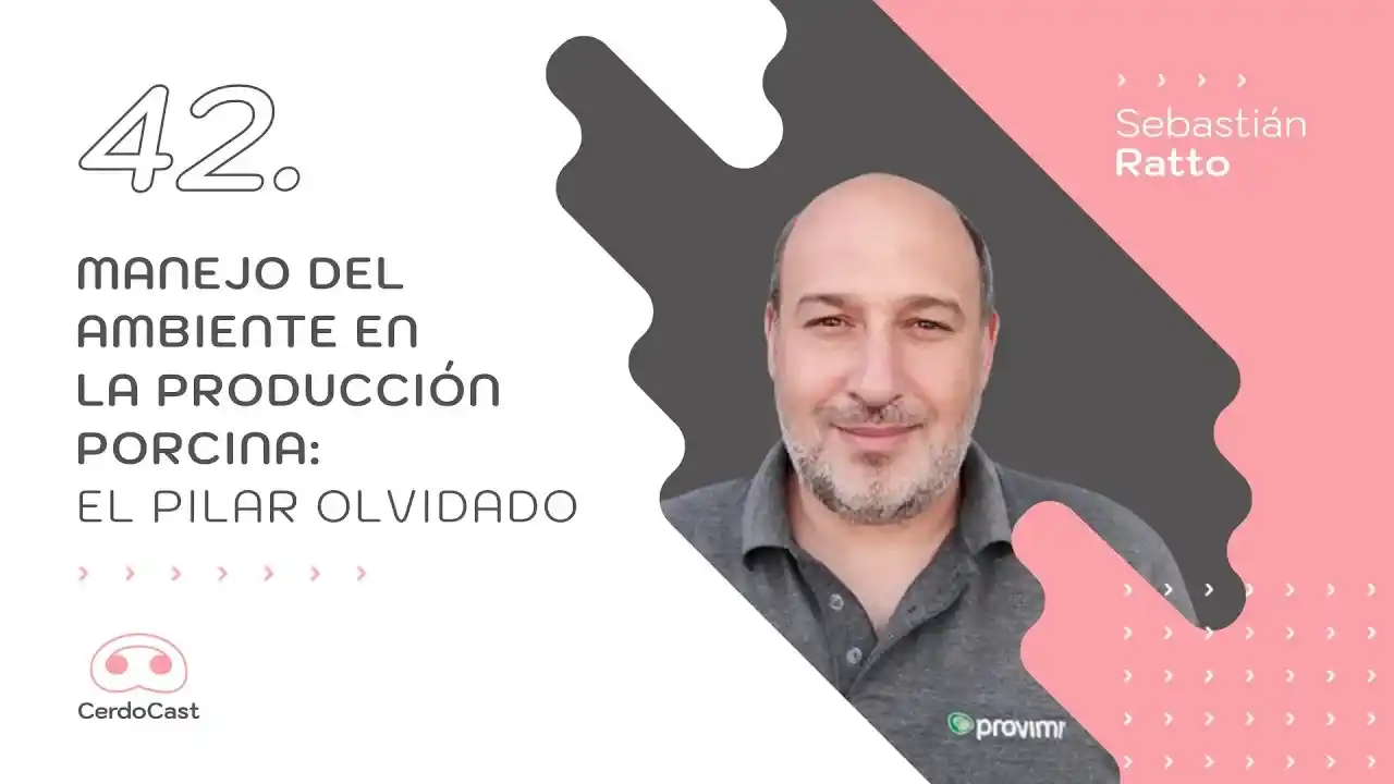 Manejo del ambiente en la producción porcina como factor clave del desempeño productivo.
