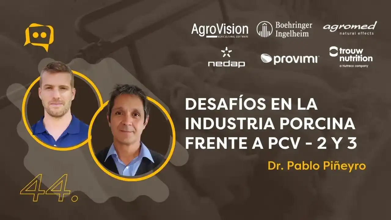 Desafíos sanitarios frente a PCV-2 y PCV-3 en la producción porcina.