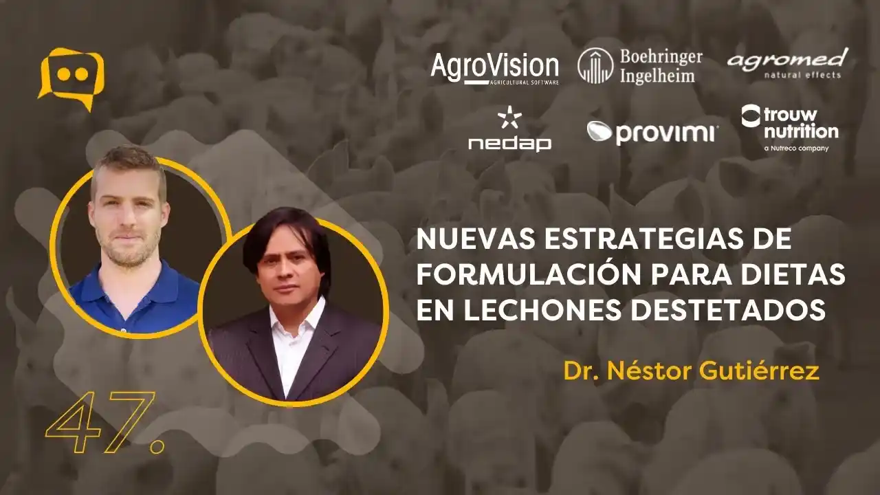 Estrategias de formulación de dietas para lechones destetados - Dr. Néstor Gutiérrez.